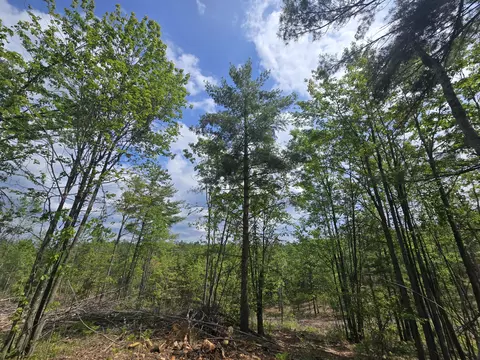 s mt tom road, Mio, MI 48647 photo 5