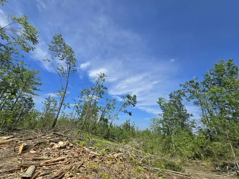 s mt tom road, Mio, MI 48647 photo 15