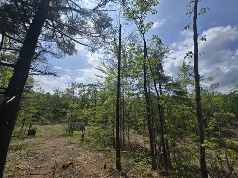 s mt tom road, Mio, MI 48647 photo 36