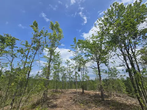 s mt tom road, Mio, MI 48647 photo 6