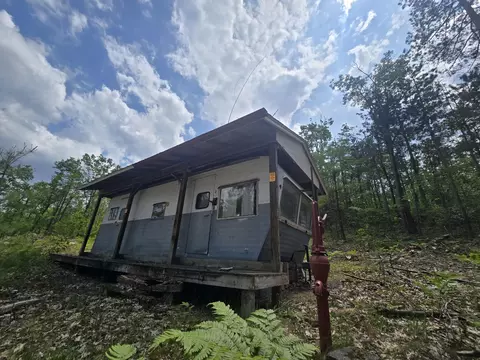 s mt tom road, Mio, MI 48647 photo 7