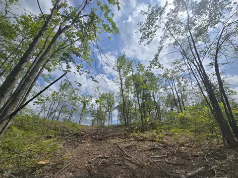 s mt tom road, Mio, MI 48647 photo 33