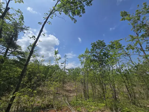 s mt tom road, Mio, MI 48647 photo 35