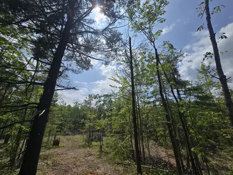 s mt tom road, Mio, MI 48647 photo 37