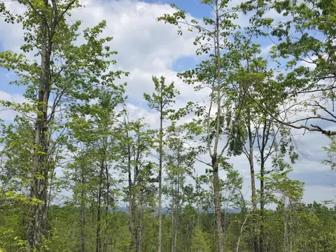 s mt tom road, Mio, MI 48647 photo 34