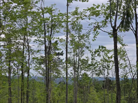 s mt tom road, Mio, MI 48647