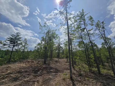 s mt tom road, Mio, MI 48647 photo 42