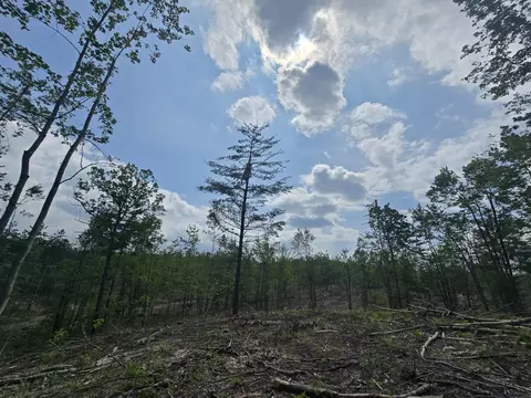 s mt tom road, Mio, MI 48647 photo 59