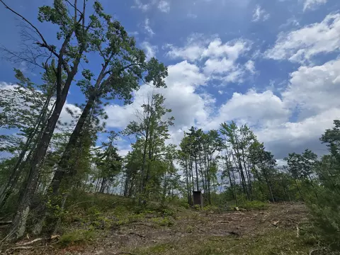 s mt tom road, Mio, MI 48647 photo 14