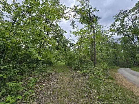 s mt tom road, Mio, MI 48647 photo 64