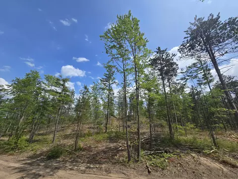 s mt tom road, Mio, MI 48647 photo 54