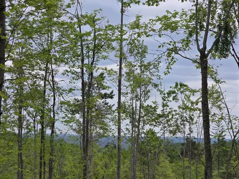 s mt tom road, Mio, MI 48647 photo 19