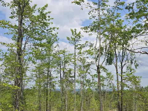 s mt tom road, Mio, MI 48647 photo 38