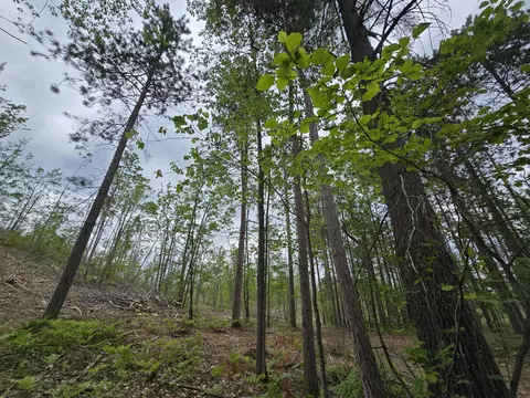 s mt tom road, Mio, MI 48647 photo 27