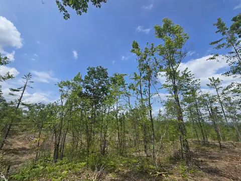 s mt tom road, Mio, MI 48647 photo 39