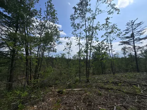 s mt tom road, Mio, MI 48647 photo 56