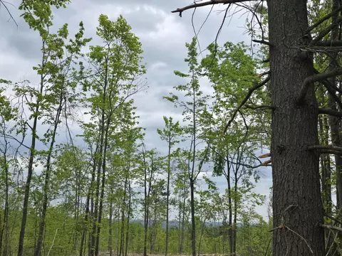 s mt tom road, Mio, MI 48647 photo 22