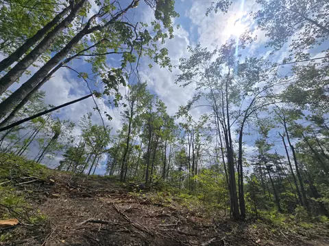 s mt tom road, Mio, MI 48647 photo 32