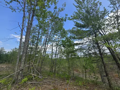 s mt tom road, Mio, MI 48647 photo 57