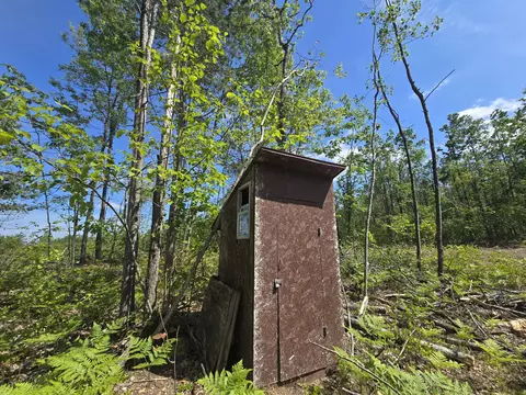 s mt tom road, Mio, MI 48647 photo 8