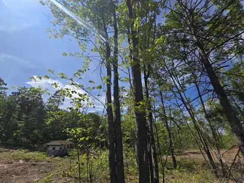 s mt tom road, Mio, MI 48647 photo 9