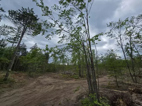 s mt tom road, Mio, MI 48647 photo 31