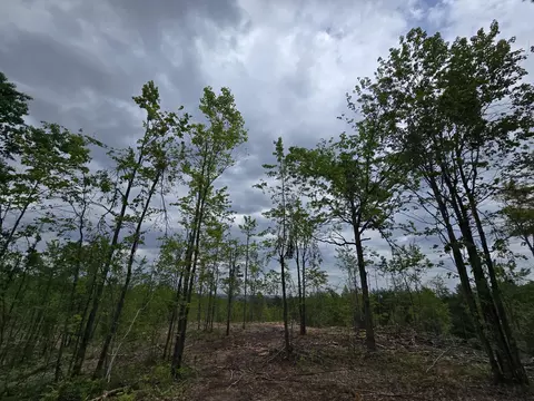 s mt tom road, Mio, MI 48647 photo 20