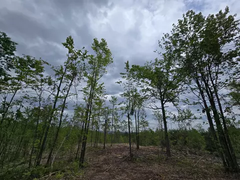s mt tom road, Mio, MI 48647 photo 18