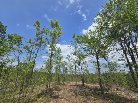 s mt tom road, Mio, MI 48647 photo 3
