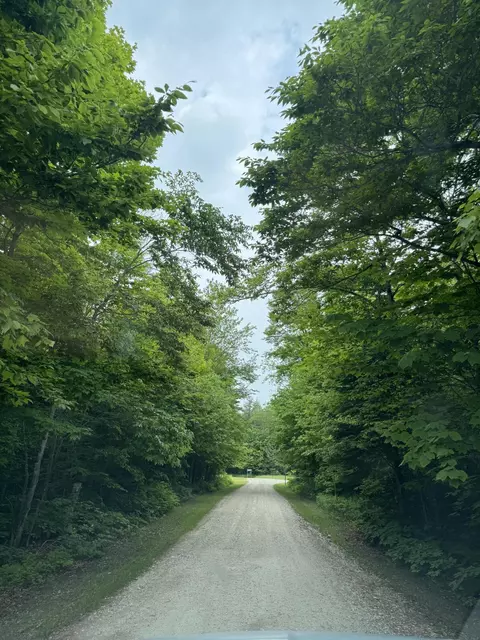 52 Acres Us2 Hwy, Moran, MI 49760 photo 4