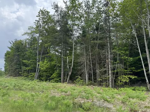 52 Acres Us2 Hwy, Moran, MI 49760