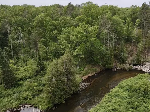 Wilson Road, Indian River, MI 49749