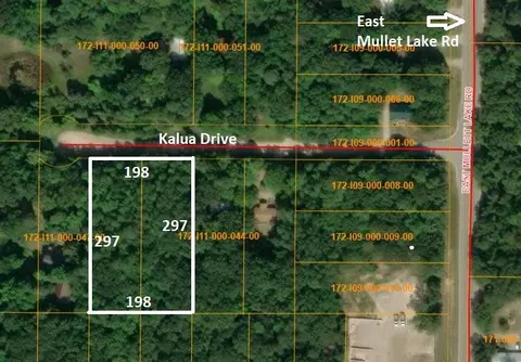 4593 4613 Kalua Dr, Indian River, MI 49749