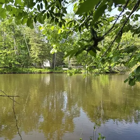 martin road, Alpena, MI 49707