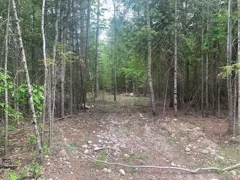 6680 Gilmet Circle Dr, Presque Isle, MI 49777