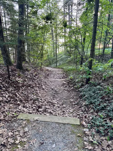 Other - 5200 Pine Grove Dr, Spruce, MI 48762 photo 4 of 5