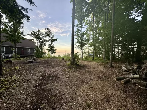 3206 Hidden Ridge Rd, Alanson, MI 49706 photo 26