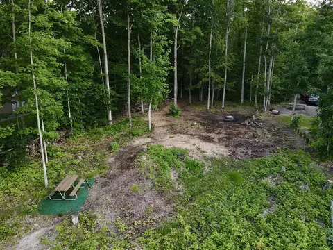 3206 Hidden Ridge Rd, Alanson, MI 49706 photo 17