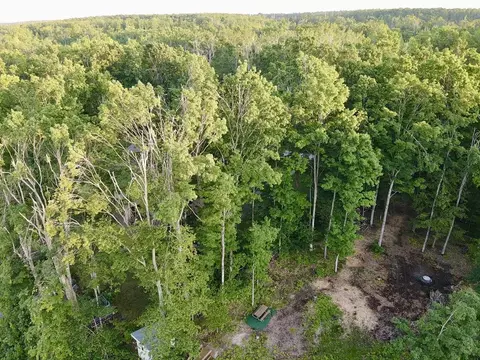 3206 Hidden Ridge Rd, Alanson, MI 49706 photo 19
