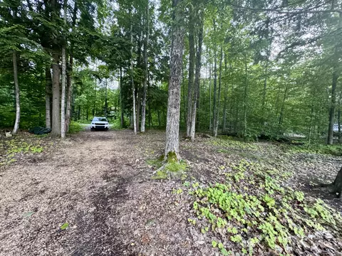 3206 Hidden Ridge Rd, Alanson, MI 49706 photo 27