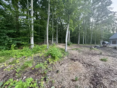 3206 Hidden Ridge Rd, Alanson, MI 49706 photo 20