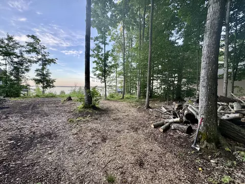 3206 Hidden Ridge Rd, Alanson, MI 49706 photo 25