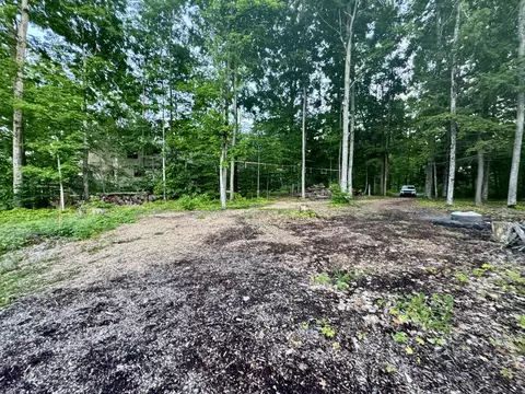 3206 Hidden Ridge Rd, Alanson, MI 49706 photo 22