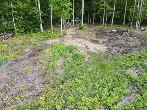 3206 Hidden Ridge Rd, Alanson, MI 49706 photo 21