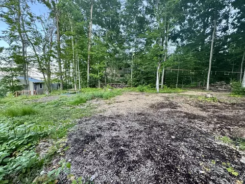 3206 Hidden Ridge Rd, Alanson, MI 49706 photo 23