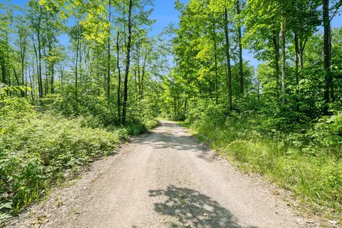 950 S Silver Pl, Indian River, MI 49749 photo 55