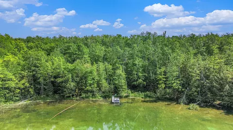 950 S Silver Pl, Indian River, MI 49749 photo 11
