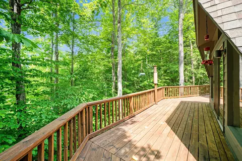 950 S Silver Pl, Indian River, MI 49749 photo 7