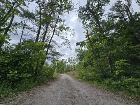 1420 S Mt Tom Rd, Mio, MI 48647 photo 69