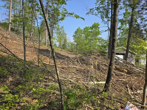 1420 S Mt Tom Rd, Mio, MI 48647 photo 46